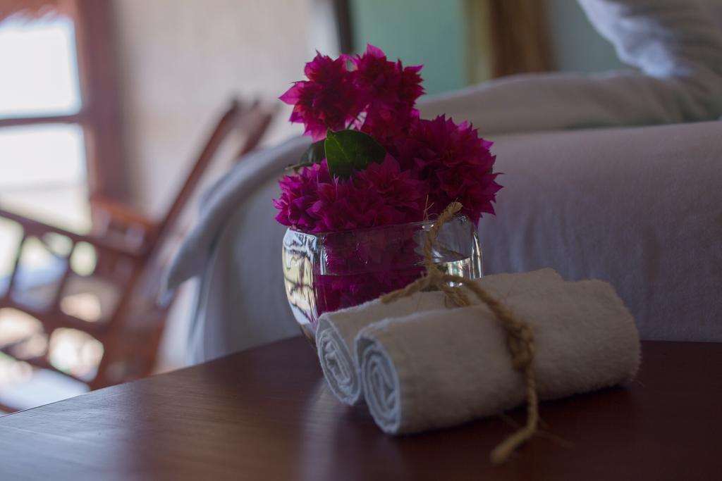 Hotel Villa De Pescadores Río Lagartos Eksteriør billede